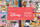 Puzzle Trefl Prime Disney The Great Book of Disney, 6000 pjesë, me poster