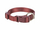 Qafore qeni Trixie Premium M–L, perimetër 35–55 cm, gjerësi 20 mm, ngjyrë sangria