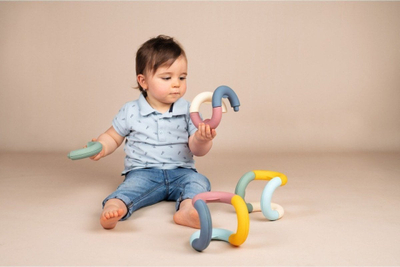 Lodër edukative Smoby Educational Rings, unaza grumbulluese, 12m+
