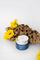 Krem fytyre Awesome Cosmetics Hydro Feeling, për lagështim, 50ml