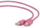 Kabllo Gembird Cablexpert Patch UTP c5e - 5m - rozë