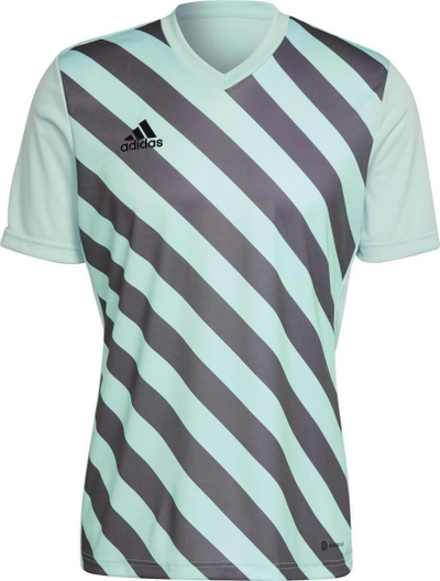 Bluzë sportive adidas Entrada 22 Graphic Jersey, Aeroready, poliester i riciklum, për burra
