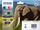 Toner Epson 24XL MultiPack për printer