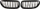 Grila përpara BMW Dual Slat Performance, për E63 E64 02-10, gloss, e zezë