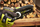 Sharrë krasitëse Ryobi ONE+ RY18PSX, 18V, brushless, teh 10cm
