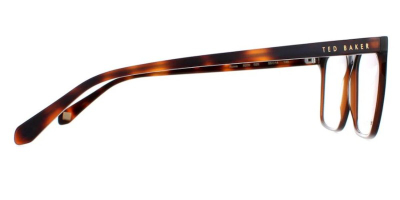 Syze Optike Ted Baker 8209 25
