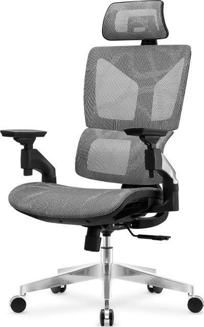 Karrige zyre Mark Adler Expert 8.5, ergonomike, gri