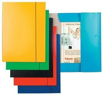 Dosje me gomë Esselte A4, karton i llakuar, jeshile