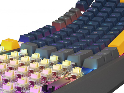 Tastierë mekanike Genesis Thor 230 TKL, Outemu Panda, RGB, e zezë