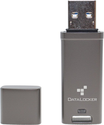 USB флеш DataLocker DL GO, 64GB, USB 3.2, црна