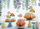Set dekorimi për tortë Cake Toppers Flowers, 13 cm, 8 copë, shumëngjyrësh