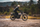 Helmetë motori Cassida Eso Forty Nine 2026, fiberglass, e hapur, krem e zezë