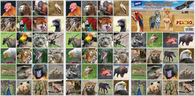 Loje memorie KOH I NOOR Picture Pairs Zoo Animals, letra çiftesh, kafshë kopshti zoologjik, plot me ngjyra