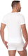 Bluzë burra Brubeck Comfort Cotton SS00990A, mëngë të shkurtra, pambuk, e bardhë, M