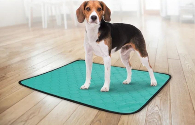 Душек за дресирање кучиња Flamingo Dog Pad, големина XL, зелен