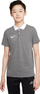 Bluzë polo për kalamaj Nike Park 20 Jr CW6935-071, Dri-FIT, gri me jakë të bardhë