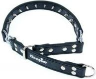 Јака за куче Champion Leather Collar 60-75 cm, ширина 3 cm, кафеава