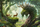 Puzzle Ravensburger The Forest Dragon Awakes, 3000 copa, shumëngjyrësh