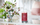 Qiri aromatik Yankee Candle Black Cherry, 567 g