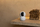 Kamerë sigurie Proove Vision, 3MP, Wi-Fi 2.4GHz, 355° rrotullim, e bardhë