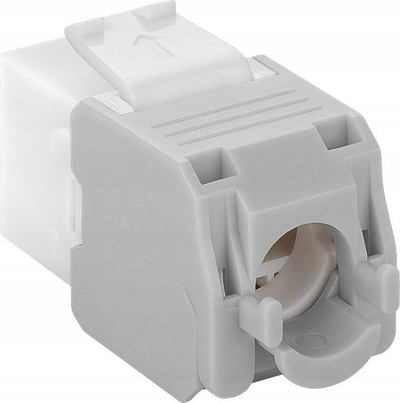 Modul rrjeti Wentronic Goobay KeyStone CAT 6a RJ45, 500MHz, i bardhë