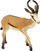 Figurinë lodër LeanToys Antelope Animals of the World, plastike, për kalamaj 3+, kafe