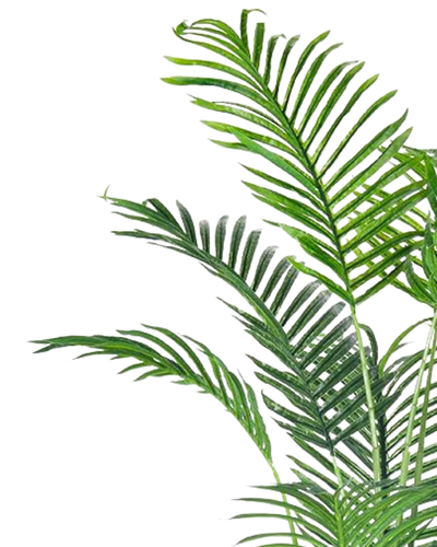 Bimë artificiale Areca Palm Tree, 160 cm