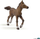 Lodër Russell Foal e racës anglo-arabe - Papo (51076) 