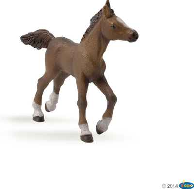 Lodër Russell Foal e racës anglo-arabe - Papo (51076) 
