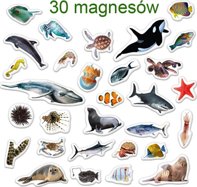 Set magnetësh Maksik Magnets Sea Inhabitants MV 6032-18, 30 copa, shumëngjyrësh