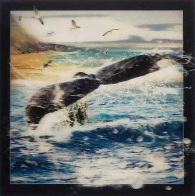 Kartolinë 3D Worth-Keeping Whale Tail, letër guri, shumëngjyrëshe