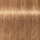 Ngjyrë për flokë Schwarzkopf Igora Royal, Chocolate GOLD 8-65, 60 ml