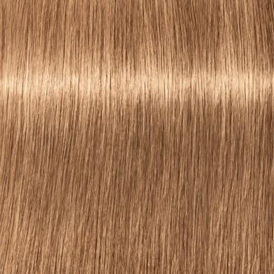 Ngjyrë për flokë Schwarzkopf Igora Royal, Chocolate GOLD 8-65, 60 ml
