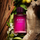Eau de toilette Joop! Homme