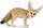 Figurinë kafshësh Collecta Fennec Fox 004-88607, plastikë, shumëngjyrëshe