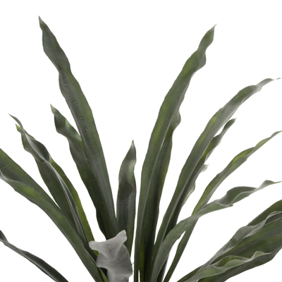 Bimë sintetike ASPLENIUM PROLONGATUM në vazo (HM7975)