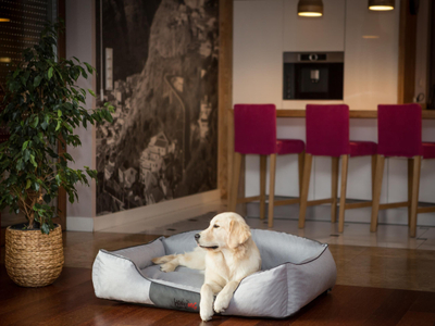 Shtrat për qen Hobbydog Royal Bed, madhësi XXL, material ekolen, gri hiri