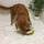 Lodër ushqimi për qen Outward Hound Green Spin N Eat, 2 kupa, jeshile