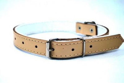 Litar për qen Chaba, 40mm/75cm, lëkurë natyrale, i kaftë