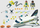 Set lojrash Playmobil Space Shuttle 71368, 72 copa, me dritë, shumëngjyrësh