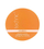 Pudër grimi Technic Vitamin C Translucent Finish, 10 g