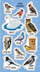 Stickerë Ranok Birds Winter in Poland, motive dimërore, shumëngjyrëshe