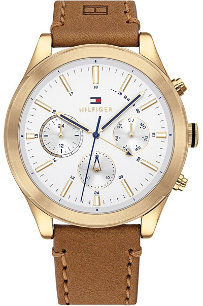 Orë dore Tommy Hilfiger Ashton 1791742