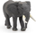 Figurë lodër Papo African Elephant, figurë elefant afrikan, shumëngjyrëshe