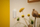 Tastierë alarmi Yale Keypad, për Yale Smart Alarm, me buton paniku, e bardhë