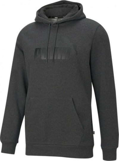 Duks për meshkuj Puma Essential Big Logo Hoody 586686-07, S, i hirtë