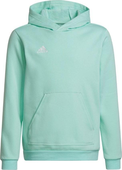 Bluzë me kapuç për fëmijë Adidas Entrada 22 JR HC5066, pambuk poliester, xhep kangur, mente