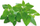 Kapsula bimesh Click & Grow Catnip, set me 3 copë, rimbushëse, jeshile