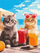 Set pikturimi me numra Ideyka Cat Vacation, kanavacë 30 x 40 cm, për fëmijë dhe të rritur, shumëngjyrësh