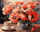 Pikturë me numra Ideyka Bouquet with poppies, 40x50 cm, në kanavacë, me shumë ngjyra